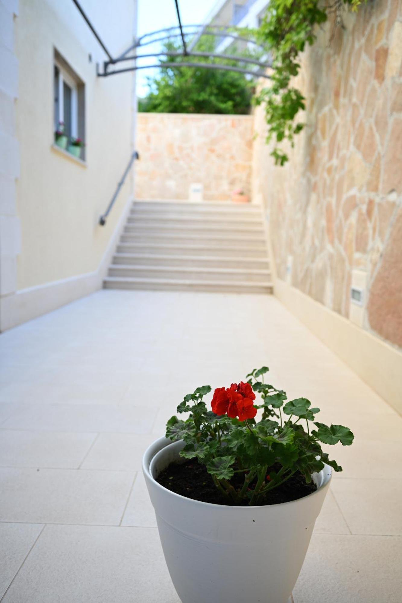 חוואר Hvar Villa Malisko Apartments מראה חיצוני תמונה