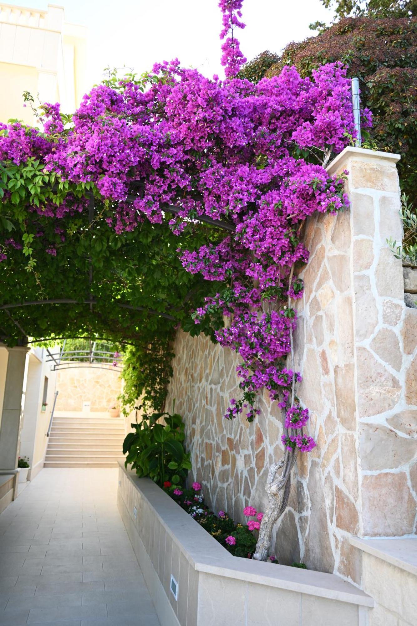 חוואר Hvar Villa Malisko Apartments מראה חיצוני תמונה